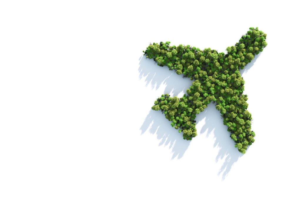 green plane 1024x671 - ITAérea se une a la celebración del Día Mundial del Medio Ambiente